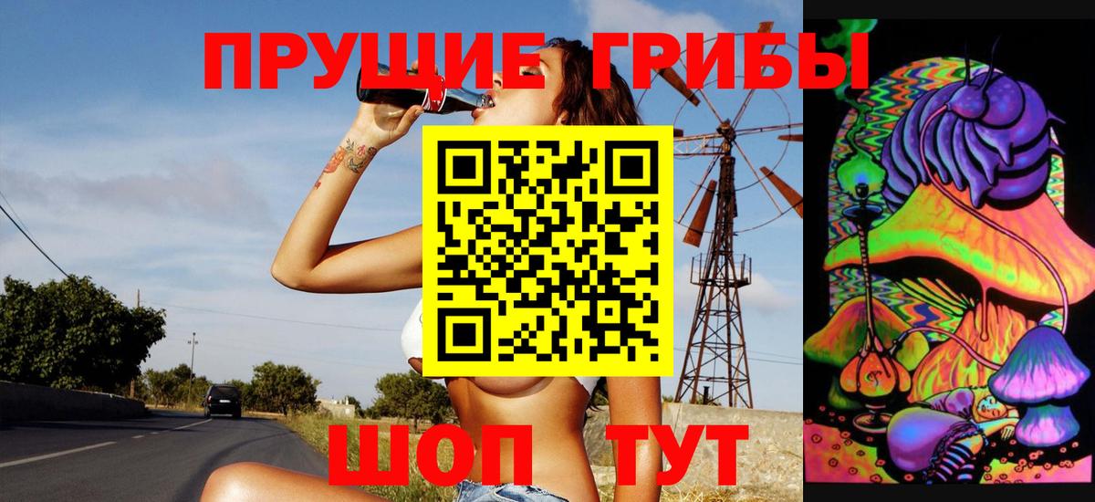 даркнет сайт  Вход с VPN  Малгобек  Псилоцибиновые грибы Psilocybine cubensis 